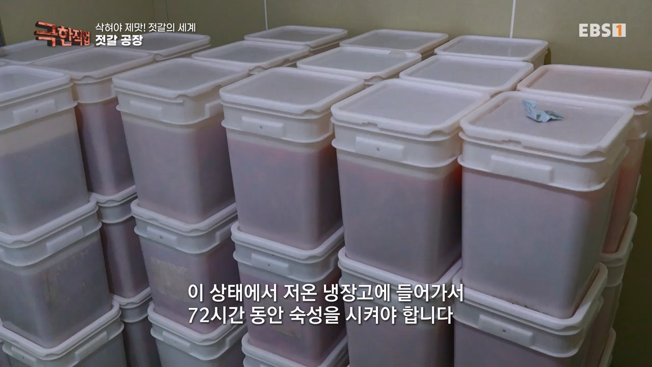 TV - 전 국민의 평생학교 EBS삭혀야 제맛! 젓갈의 세계.mp4_20231125_190849.534.jpg