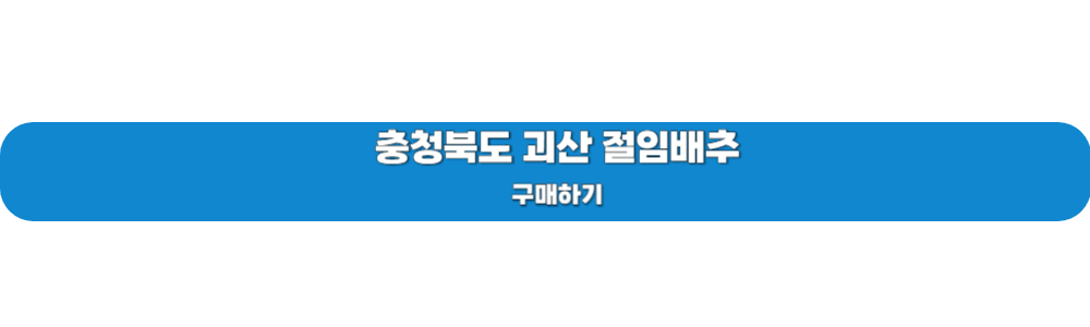 김장철 절임배추
