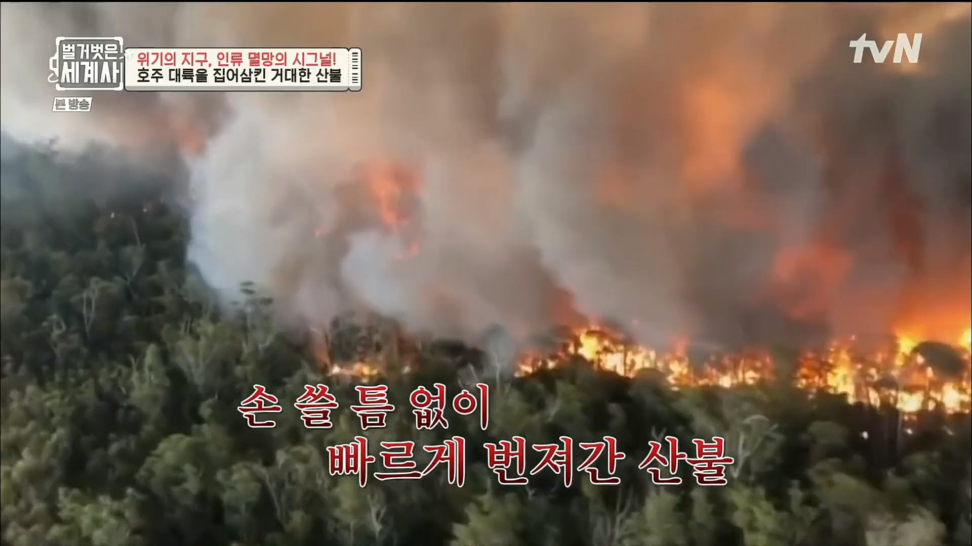 벌거벗은 세계사.E75.221129p.H264-F1RST.mp4_20221211_170921.069.jpg