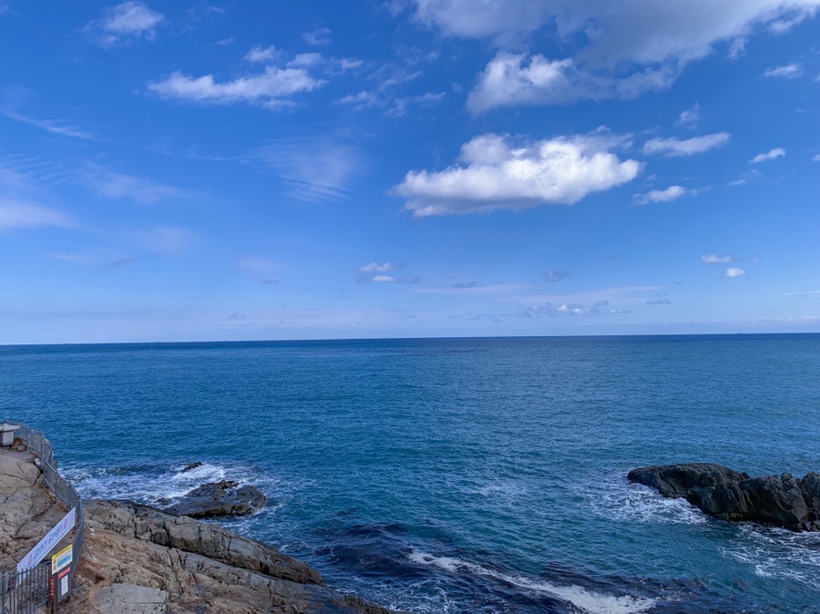 주차 꿀팁 (Hint : 해파랑길 2코스) 부산 여행 필수 코스! 해동용궁사 28