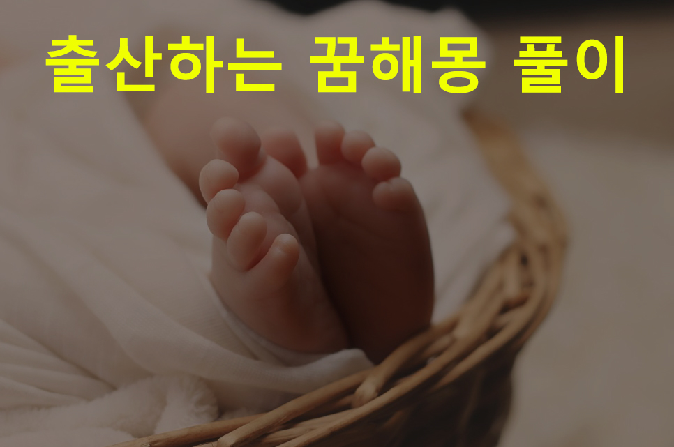 출산하는 꿈해몽 풀이