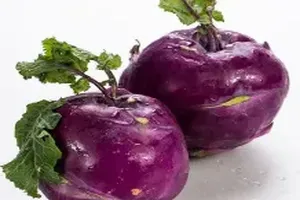 콜라비