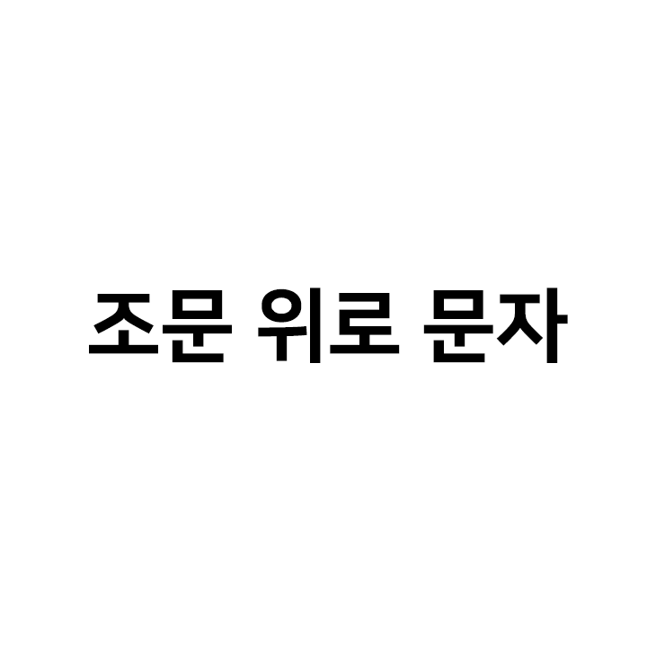  조문 위로 문자 모음
