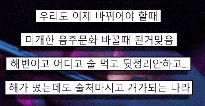 네티즌수사대