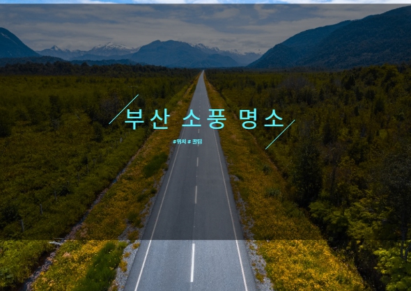  부산 소풍 공원 피크닉 장소 BEST3 (+위치, 꿀팁)