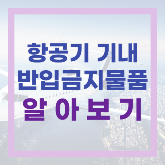  비행기 탑승 전 꼭 확인하세요! 항공기 기내 반입금지 물품 검색하기