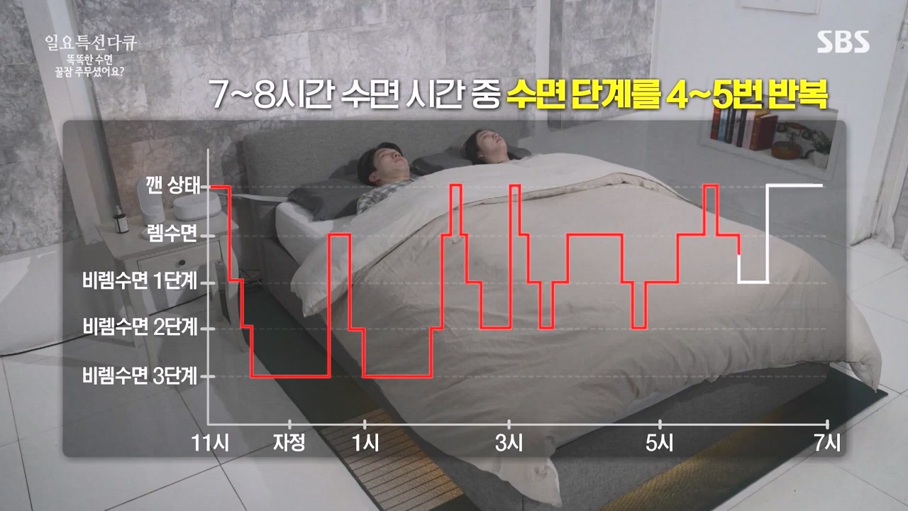 일요특선 다큐멘터리.E345.231211p-NEXT.mp4_20231215_212041.097.jpg