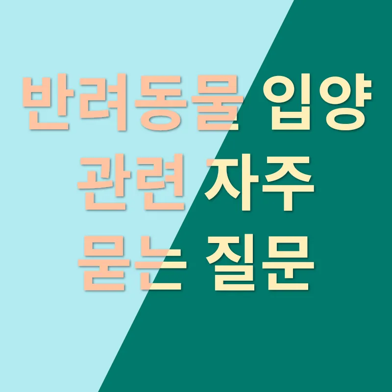 반려동물 입양_4