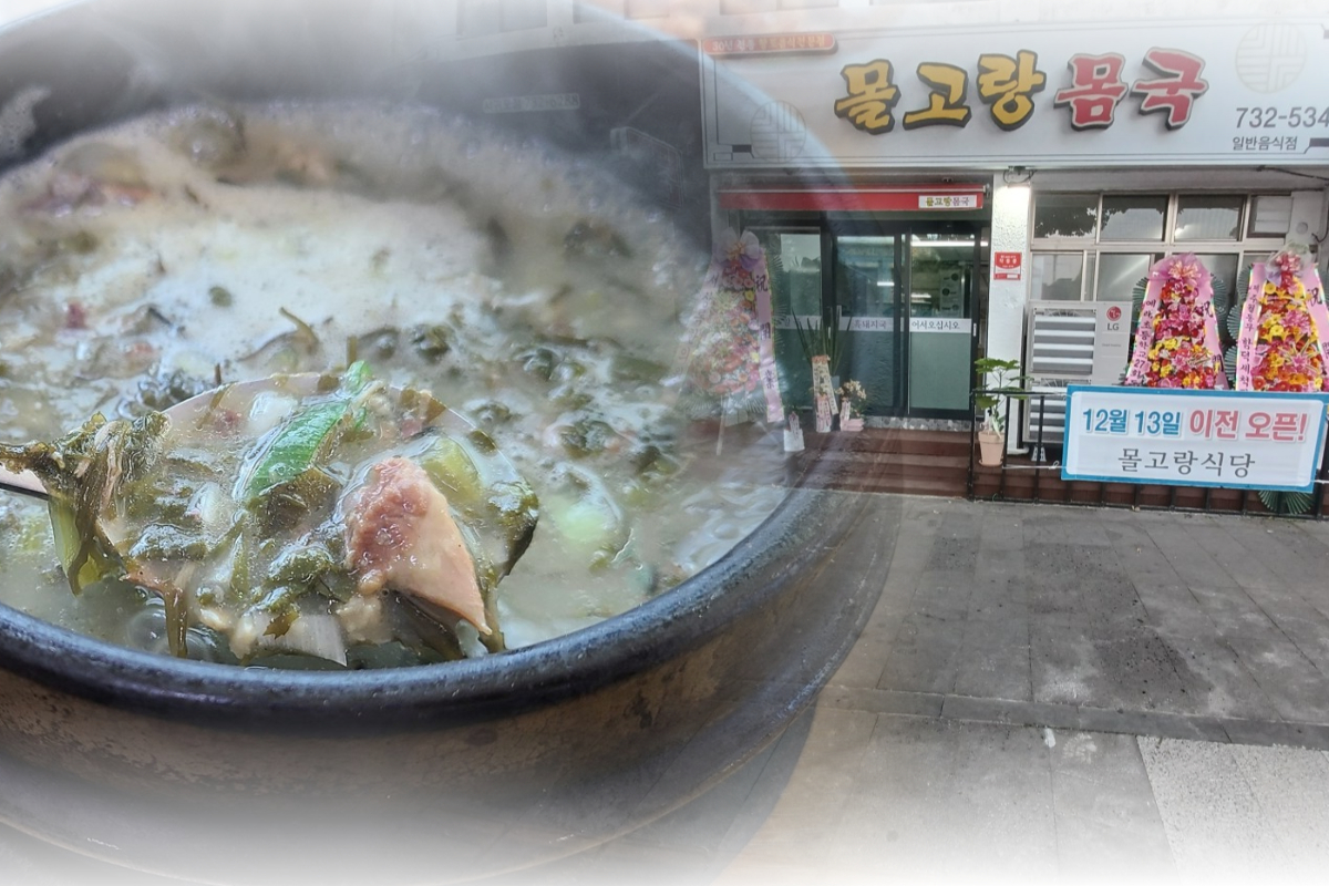  몰고랑식당 | 몸국/흑돼지국 맛집 추천 | 제주 서귀포 근처 음식점