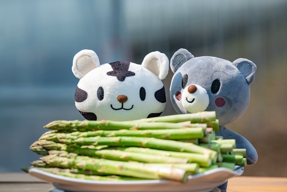  강원도 아스파라거스 대란? 티겟팅 구매방법은?