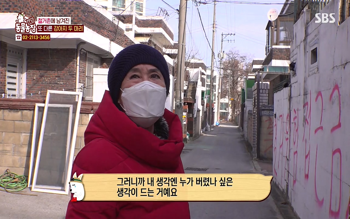 TV 동물농장.E1065.220418p-NEXT.mp4_20220417_181315.172.jpg