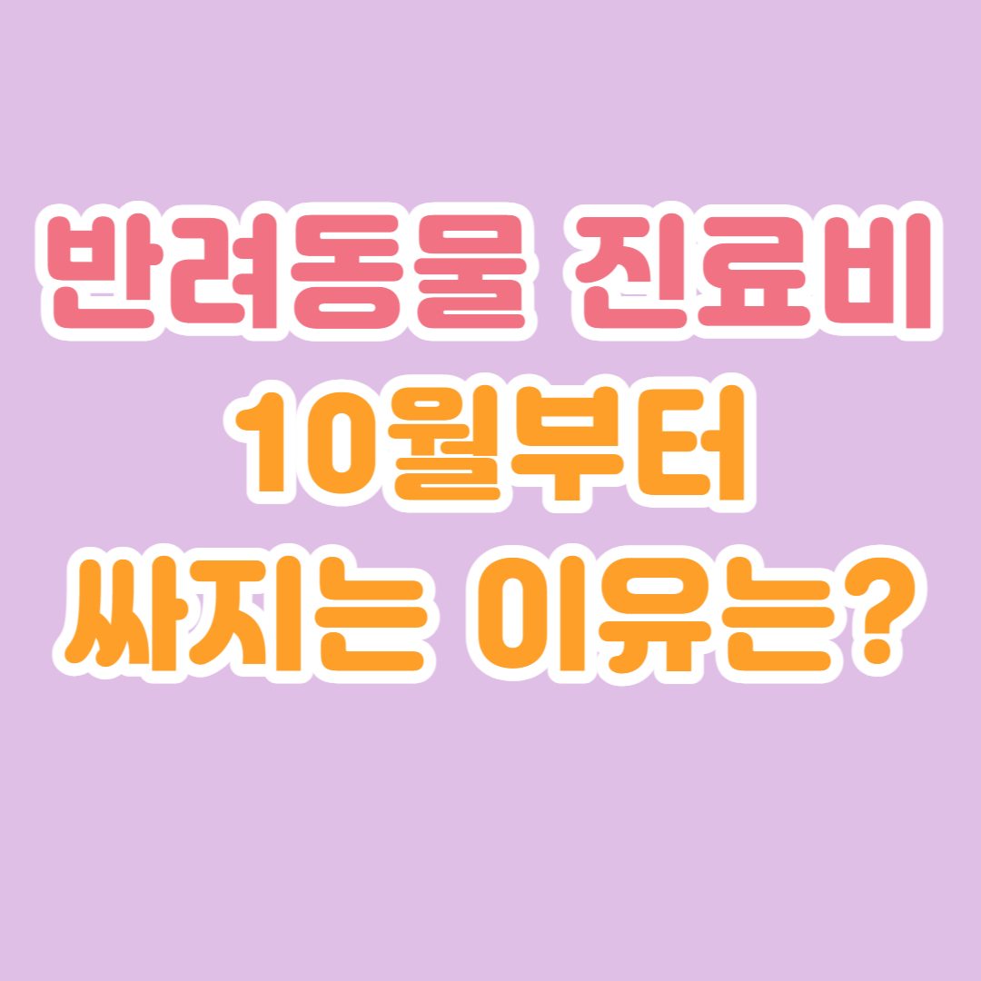 반려동물 진료비 비과세 면제