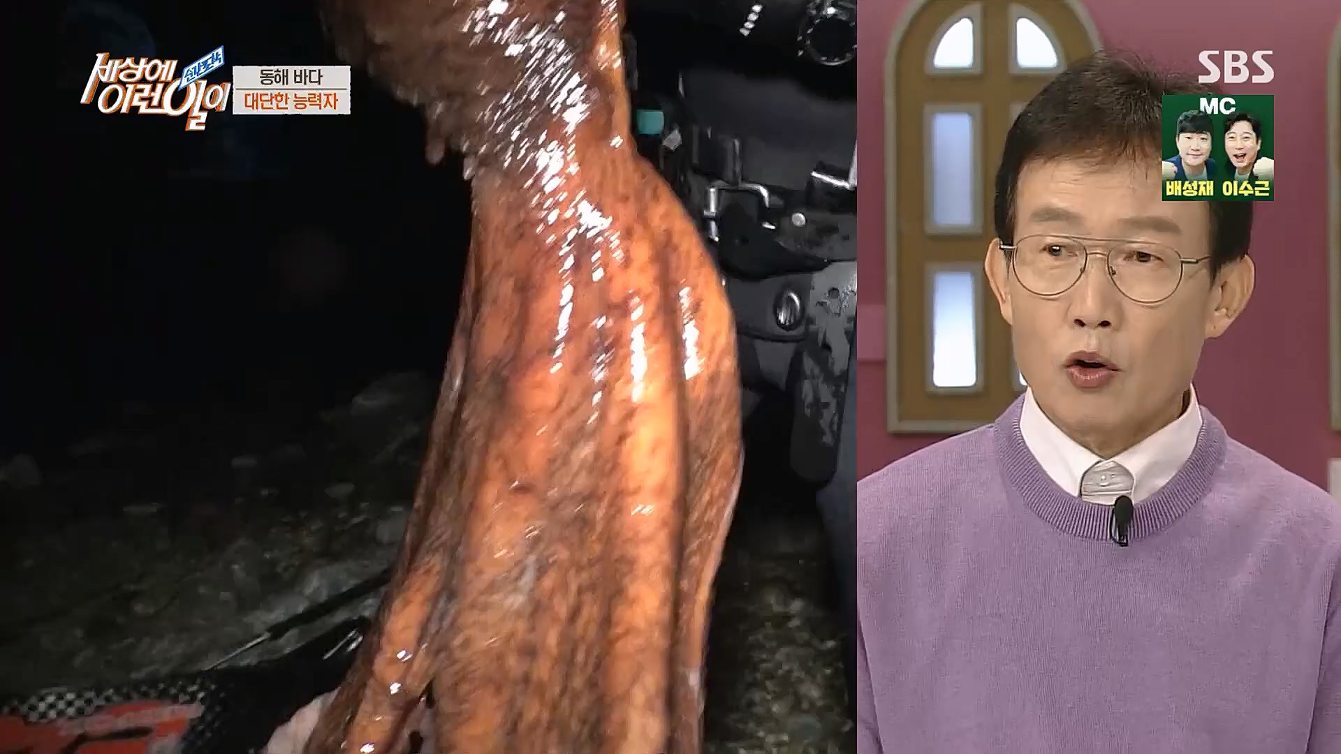 순간포착 세상에 이런일이.E1214.230117p.H264-F1RST.mp4_20230118_192427.110.jpg