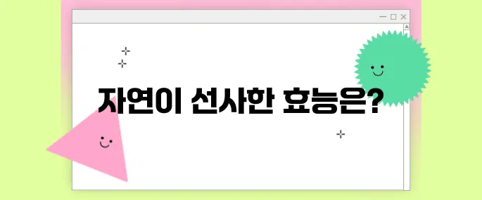 파로 곡물 효능 총정리: 건강을 바꾸는 자연의 선물