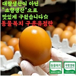나린뜰 구운계란