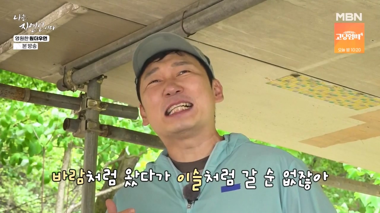 나는 자연인이다.E606.240523p-NEXT.mp4_20240523_195600.101.jpg