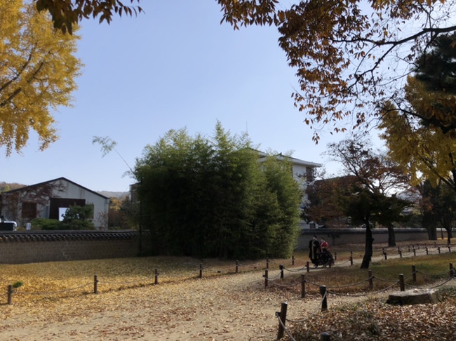 군산엄마들이 2020_엄마 아빠랑 35