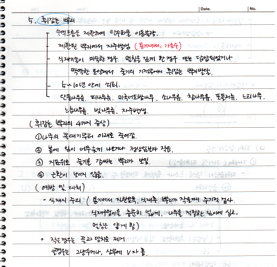  [비생물적피해론] 토양과 뿌리요인 (휘감는 뿌리)