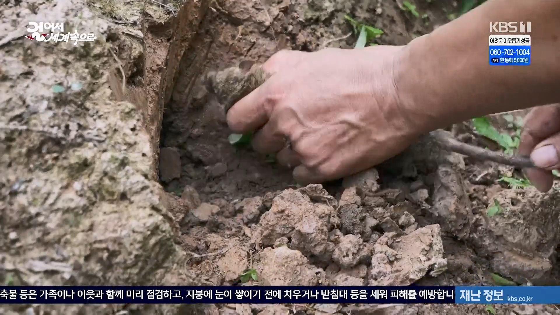 걸어서 세계속으로.E826.240120p.H264-F1RST.mp4_20240716_201916.461.jpg