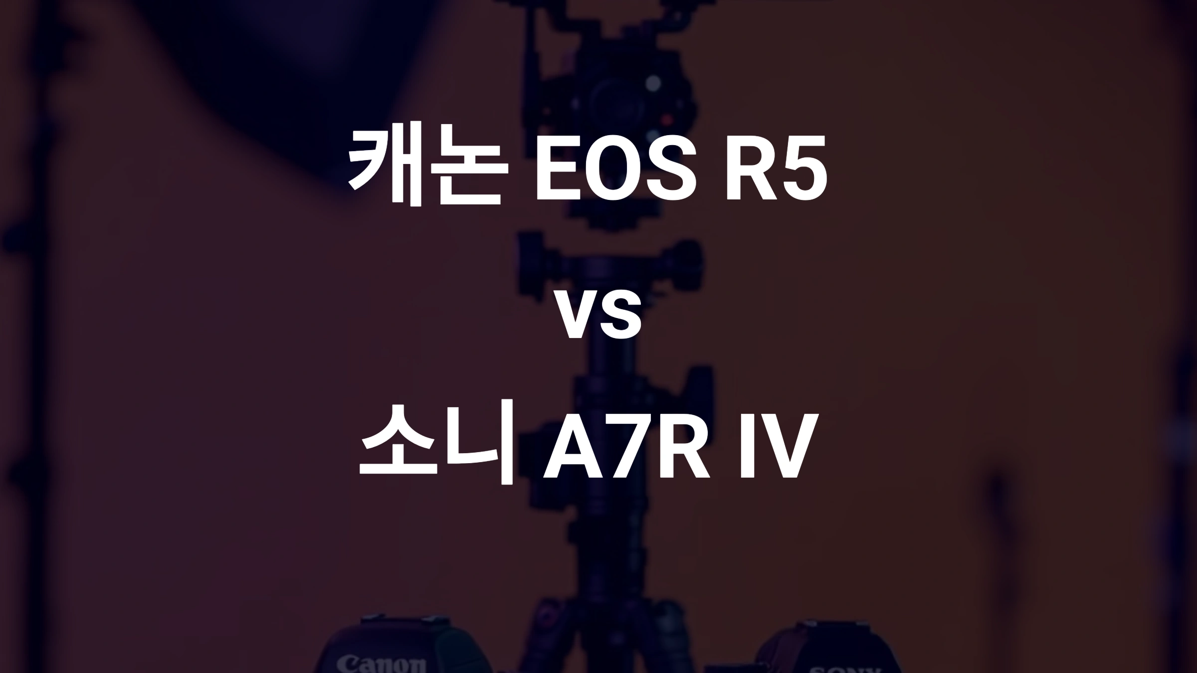 캐논, 소니, EOS R5, A7R IV, 미러리스, 풀프레임, 카메라 비교, 사진 촬영, 동영상 촬영, AF 성능