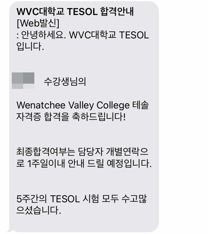 테솔 자격증 [테솔자격증/WVC테솔] 12