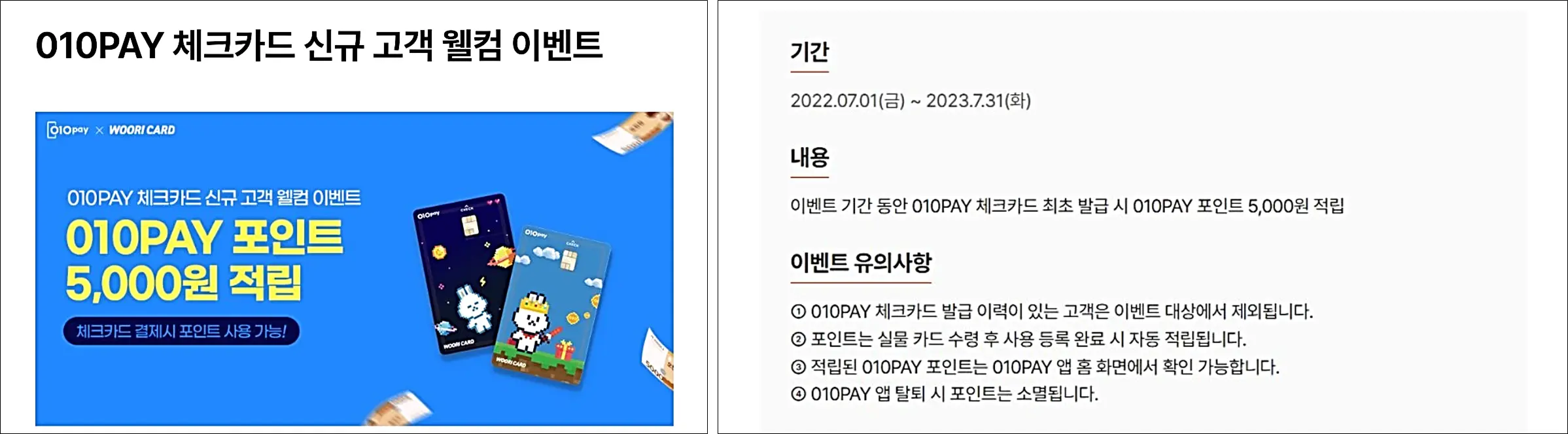 010 페이체크카드