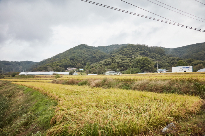충청남도 천안 여행 - 3 테마여행&amp;#44; 안전체험관&amp;#44; 병천순대거리&amp;#44; 천안 여행지도&amp;#44; 충남 천안 가볼만한곳&amp;#44; 아이와 함께8