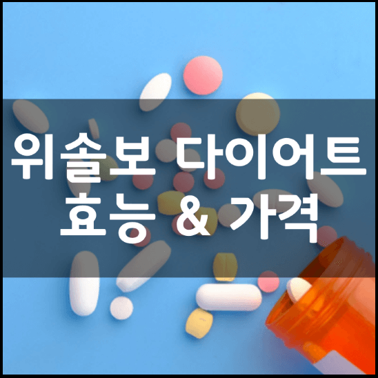 닥터아돌-위솔보-WITH-다이어트-정장제-효능-가격