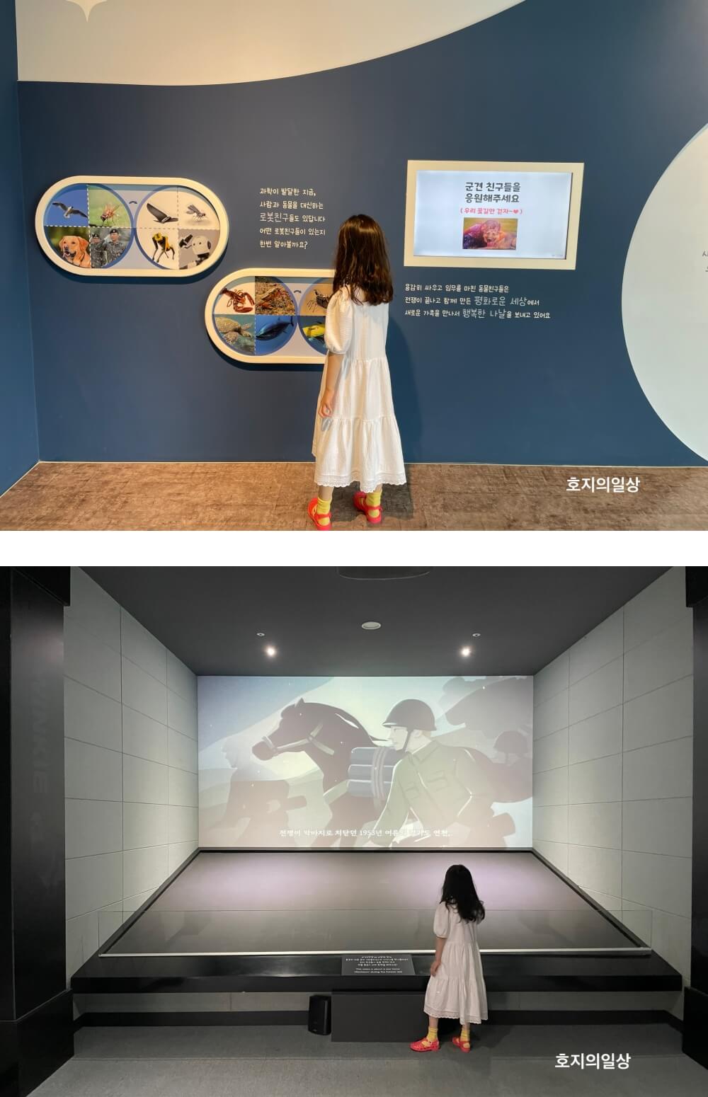 용산 전쟁기념관 어린이박물관 - 레클리스 이야기 만화