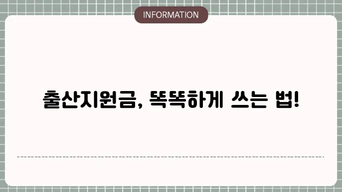 출산지원금 사용처의 예시