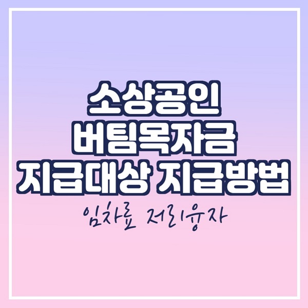  소상공인 버팀목자금 지급대상 방식 지급일