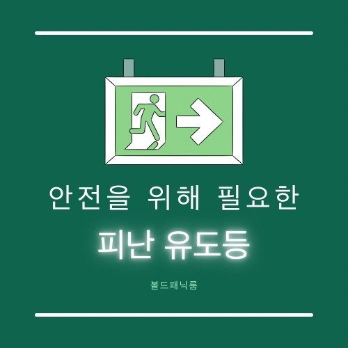  유도등 · 유도표지 · 피난유도선 : 출제예상문제