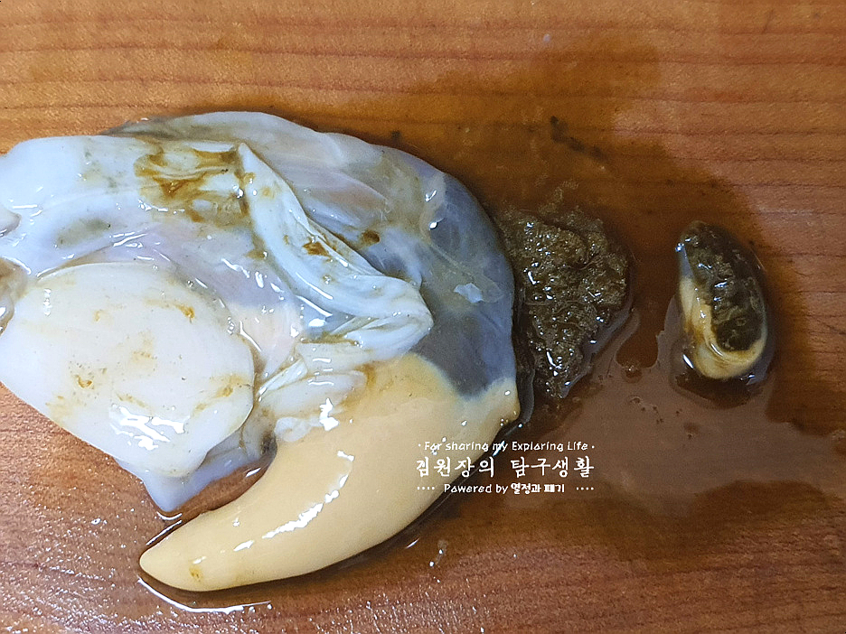 손질 하는법 활전복 보관 방법 전복회 손질 전복 내장 15