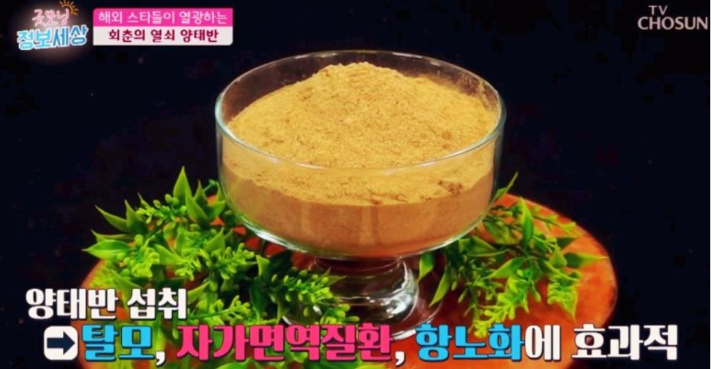  양태반 효능 부작용