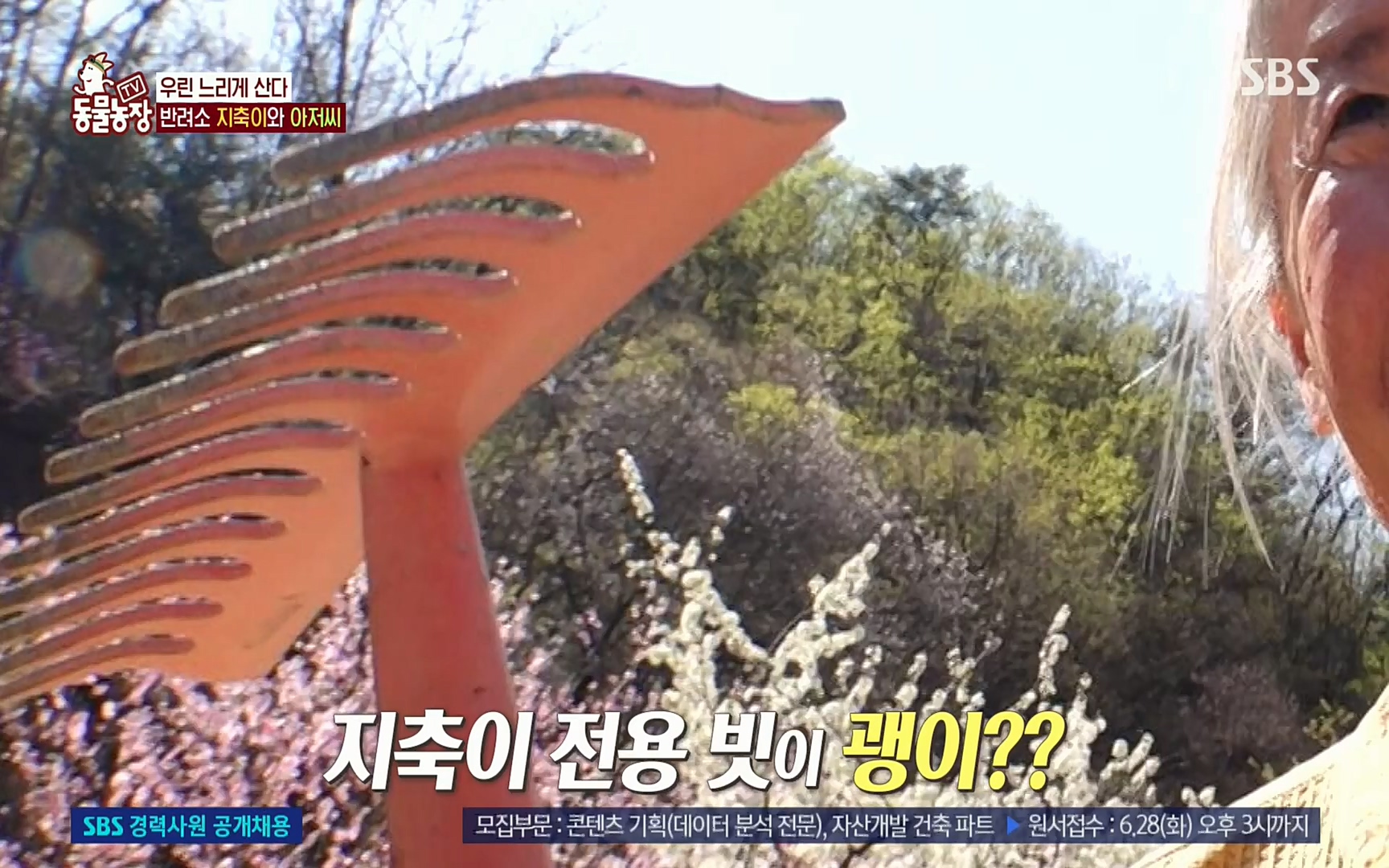 TV 동물농장.E1074.220619p.H264-F1RST.mp4_20220619_181158.205.jpg