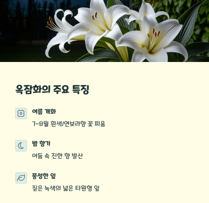 옥잠화 꽃