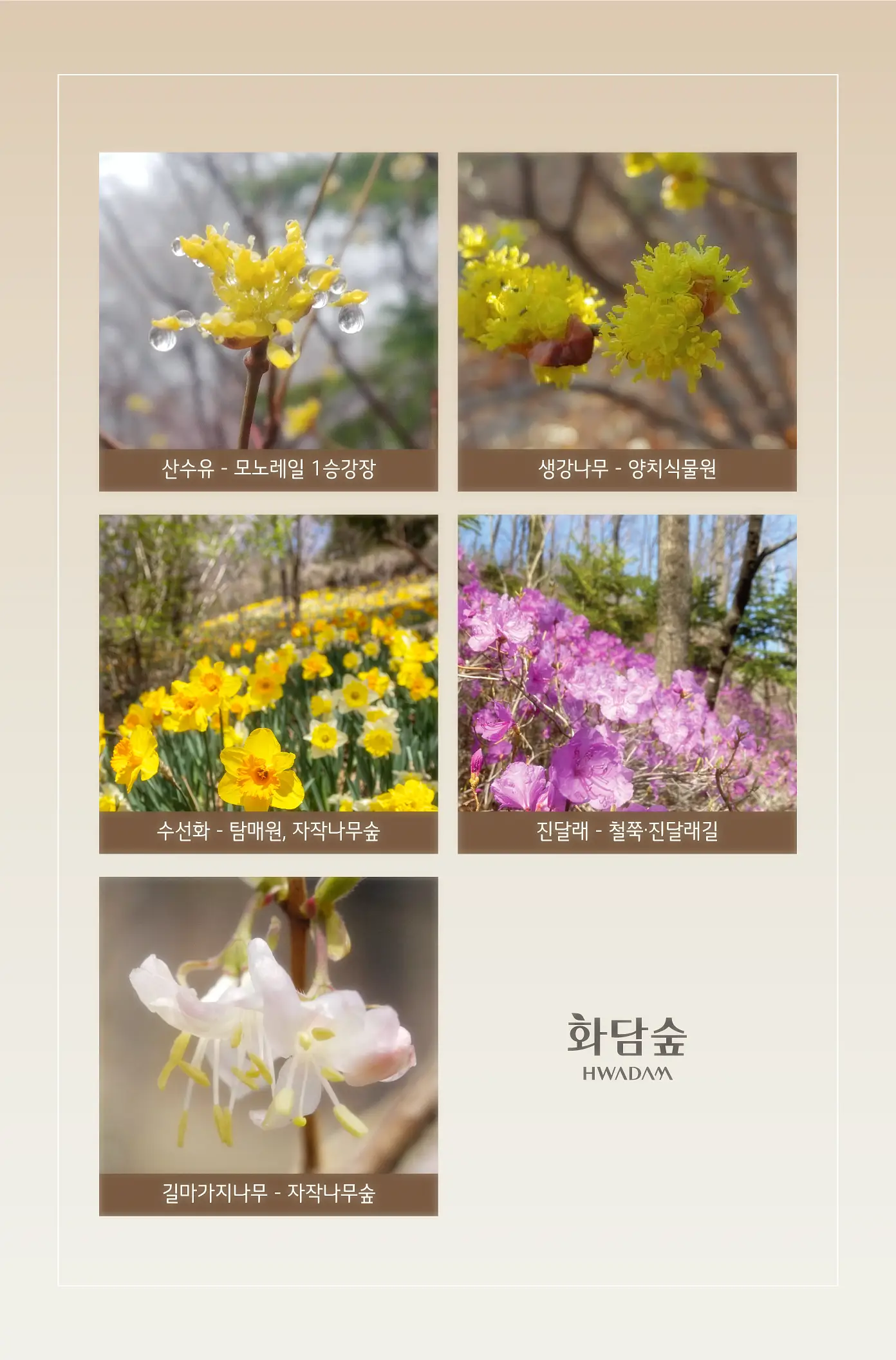 화담숲 볼거리