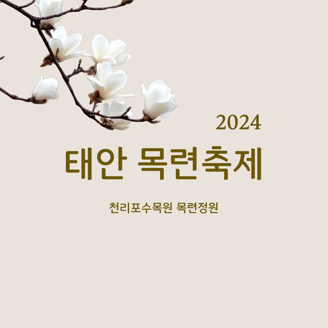 2024 태안 목련축제