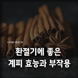 환절기에 좋은 계피 효능과 부작용, 활용 방법