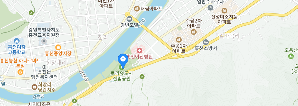 홍천강 별빛음악 맥주축제