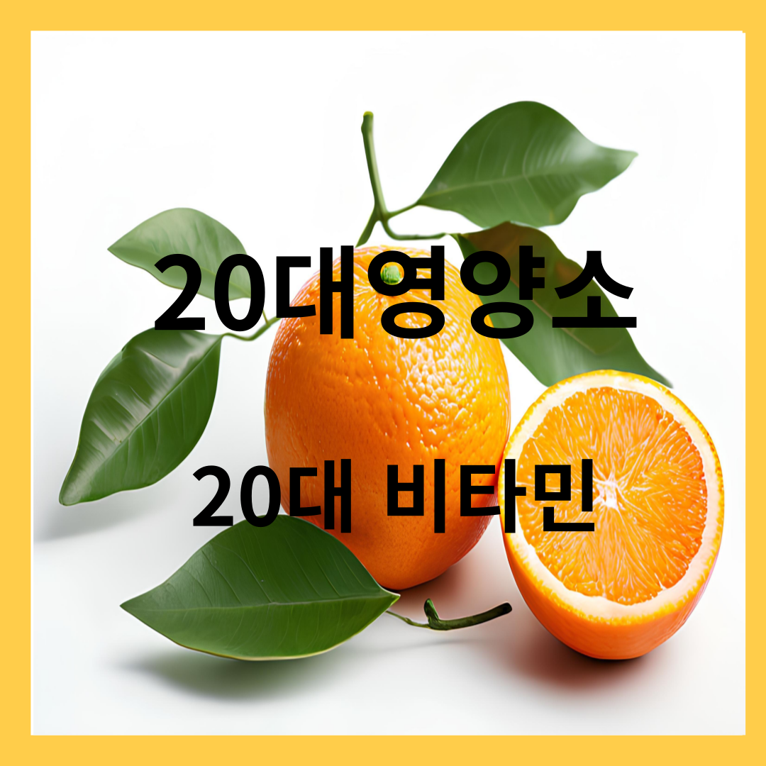 20대 영양소 -20대 비타민이 필요한 이유