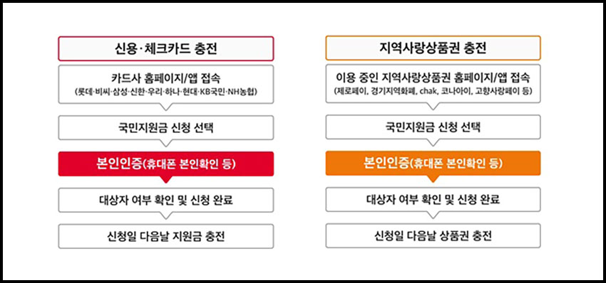 국민지원금-신청-프로세스