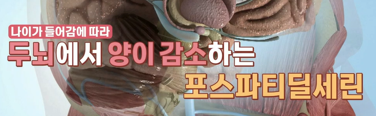 포스파티딜세린 효능 