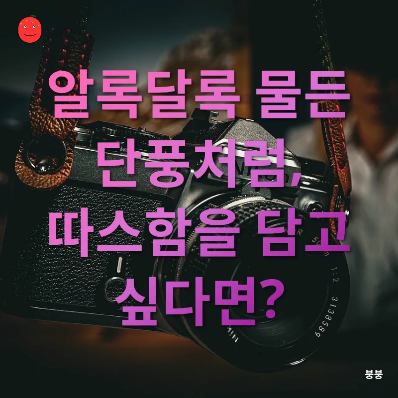 계절별 사진 촬영_3