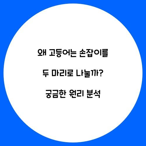 왜 고등어는 손잡이를 두 마리로 나눌까?