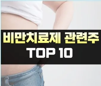 비만치료제 대장주 관련주 TOP5 총정리_8