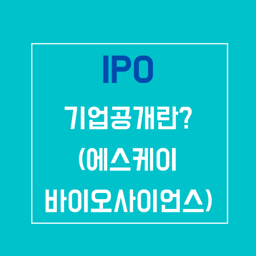 IPO 기업공개
