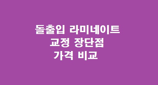 돌 출입 라미네이트