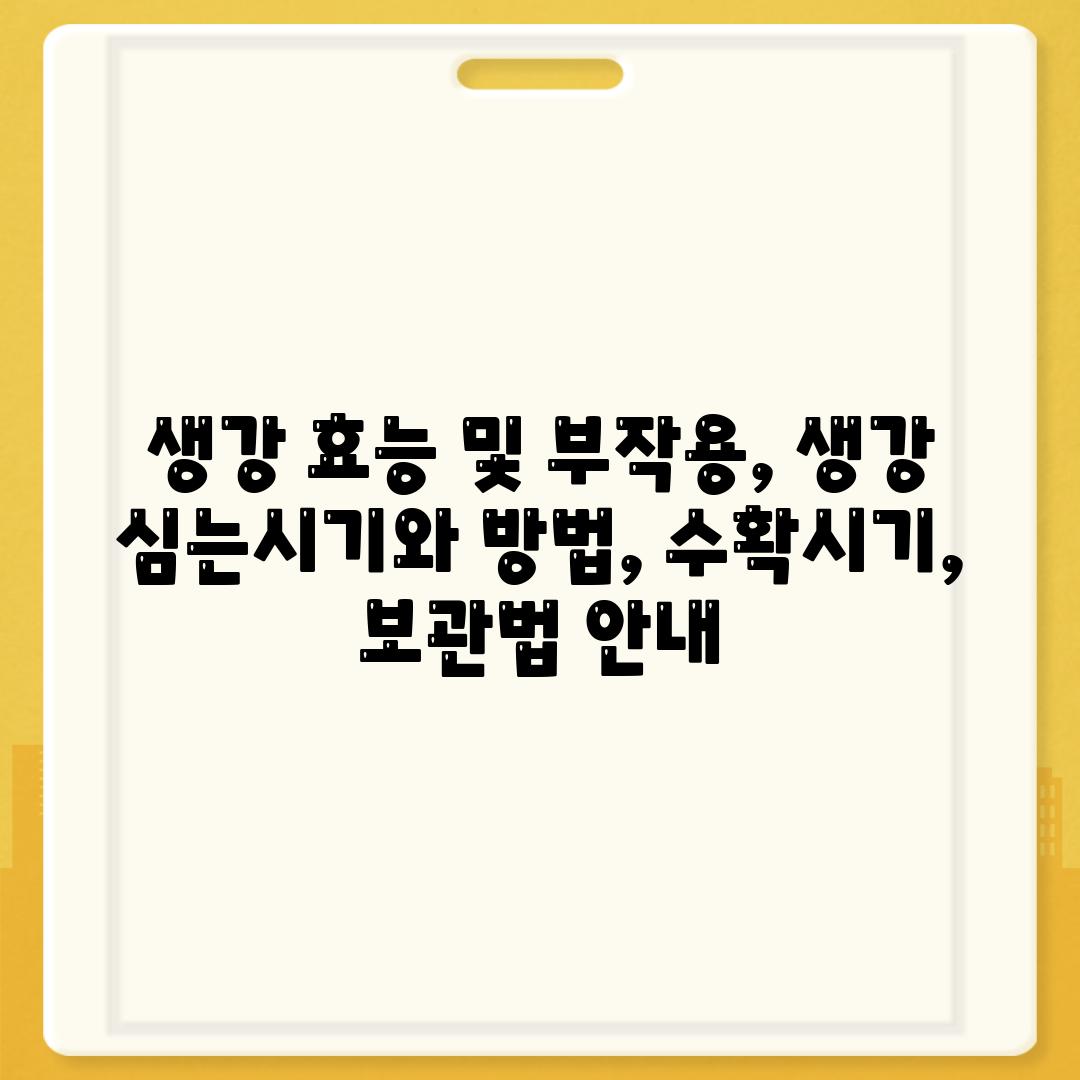 사진11