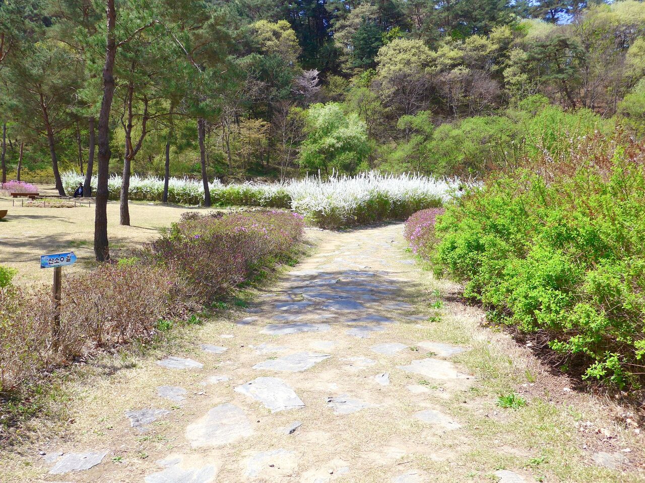 홍천 가볼만한곳 베스트10 정리 공작산 가리산 용소계곡 삼봉 자연휴양림 홍천 알파카 월드 수타사 농촌 테마공원
